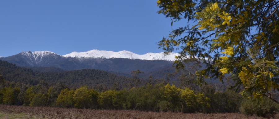 Spring in the Snowies ...view from geehi