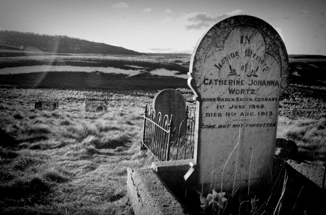 Headstones in the old kiandra graveyard