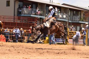 some of the action from the Jindabyne rodeo