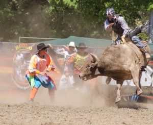 Tumbi rodeo-2