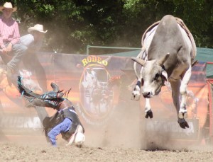 Tumbi rodeo-3