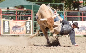 Tumbi rodeo-6