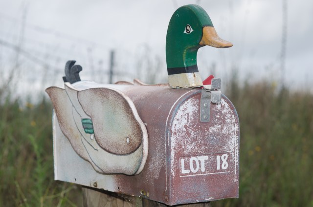 Mail duck