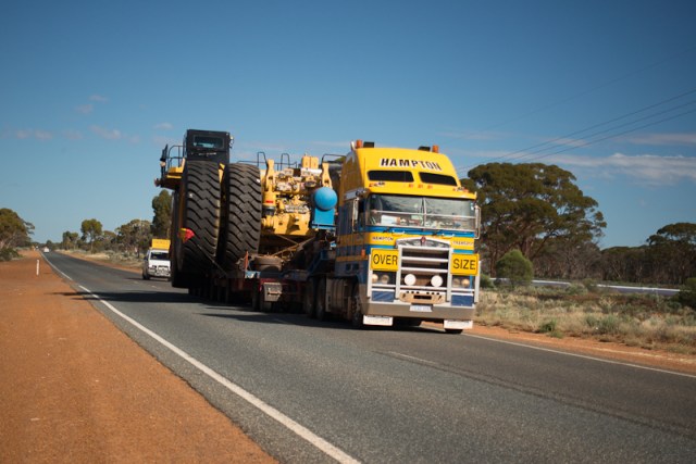 One of the many hazards of driving on the Goldfields ...
