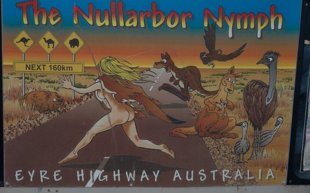 The legendary Nullarbor Nymph