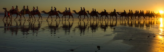 Riding, or photographing, the camels at sunset on Cable Beach is one of the tourist clichés, but what the heck ...everybody likes a sunset photo !