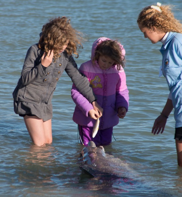 2 lucky kids get to feed a dolphin