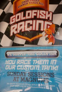 Weird and wacky sports !