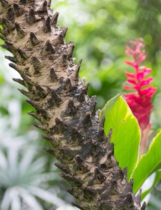 jim-thompson-house-3