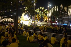 Part of the crowd waiting for the royal procession
