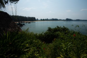 The view from my bungalow ...950 baht/night