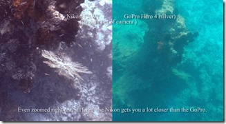 Nikon_v_gopro4blog_4