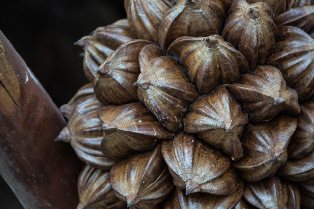 © 2019 Michael Nottingham